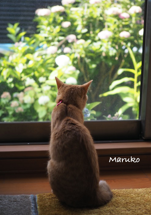 5日ブログ２