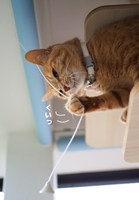 1日夕ブログ５