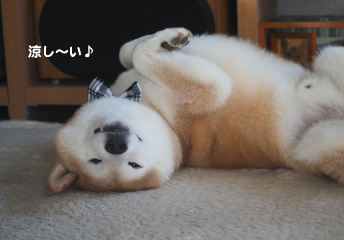 6日夕ブログ３