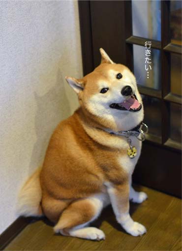 28日ブログ4.jpg
