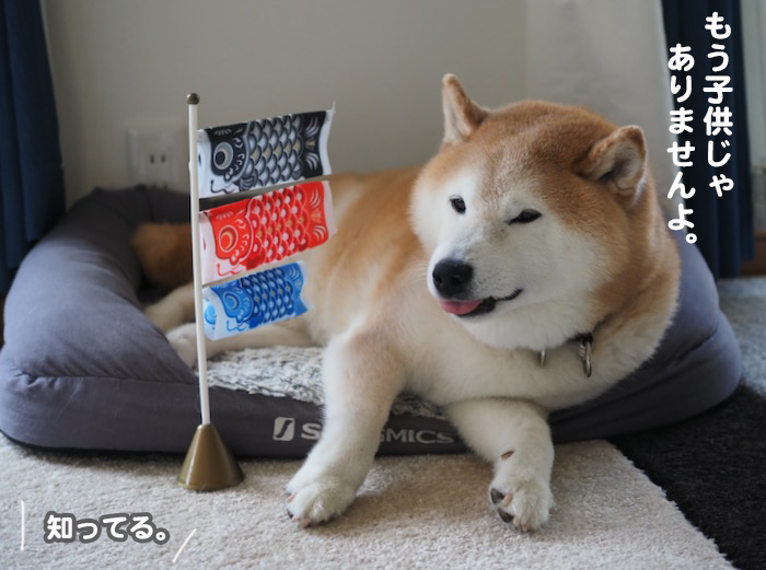 5日ブログ３
