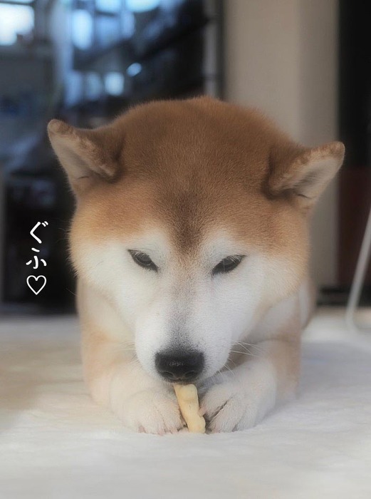 25日ブログ6