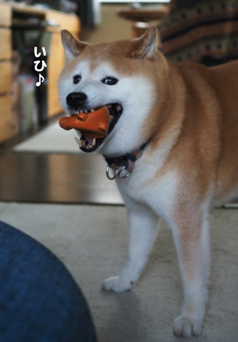 15日ブログ１２