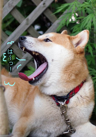 28日ブログ18.jpg