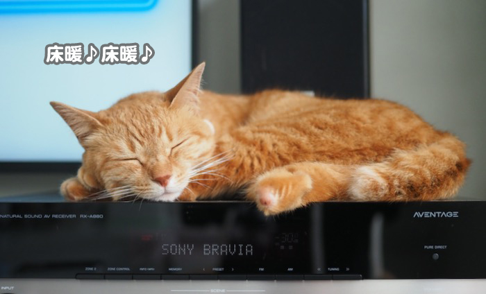 22日ブログ２