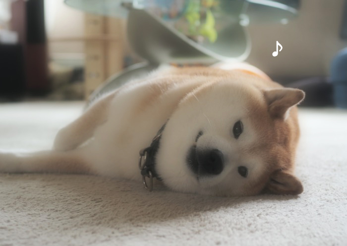 9日ブログ６