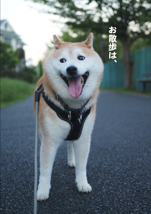 7日夕ブログ3