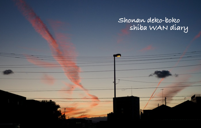 31日夕ブログ1