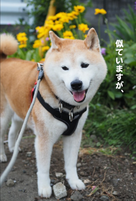 22日夕ブログ６