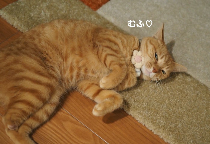 16日夕ブログ３