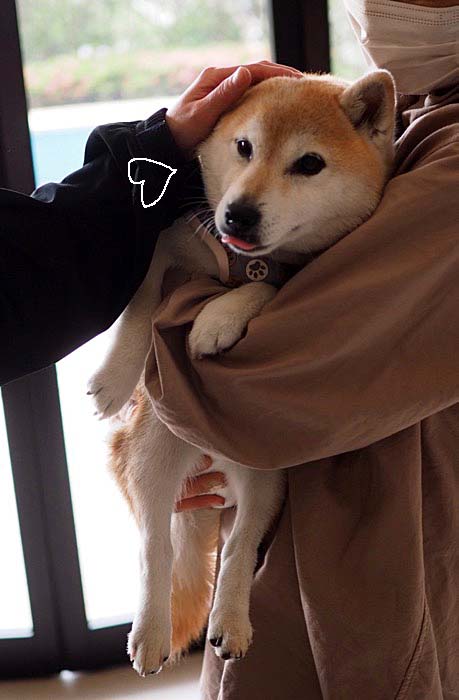 7日ブログ２