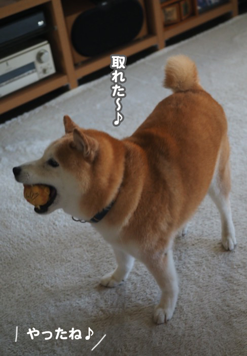 7日夕ブログ７