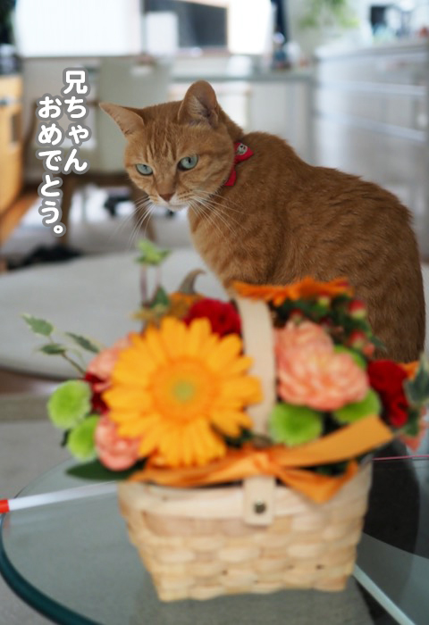 26日夕ブログ3