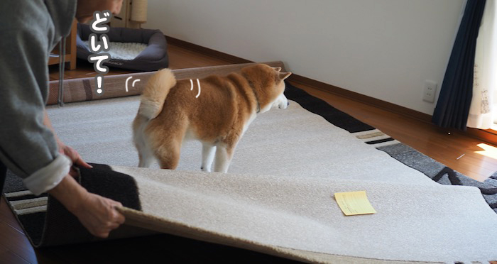 27日夕ブログ５