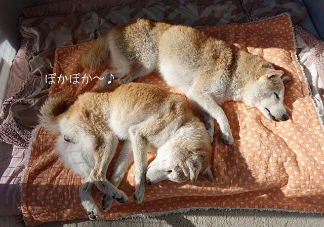 25日ブログ4