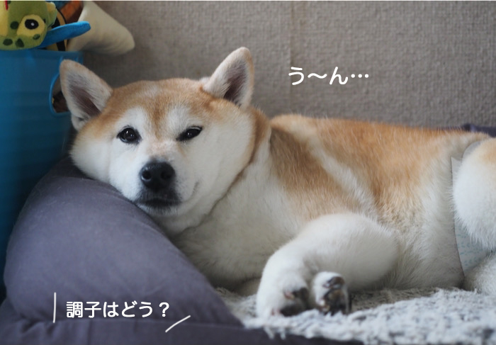 22日ブログ４