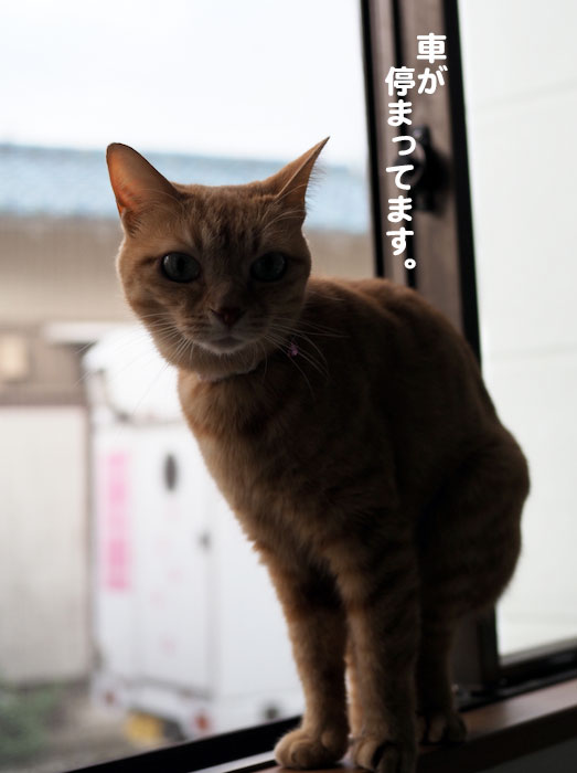 2日夕ブログ３