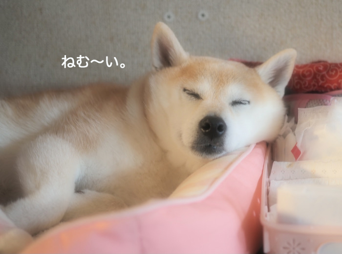12日ブログ２