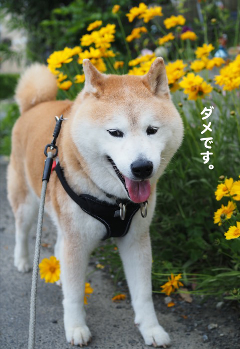 22日夕ブログ４
