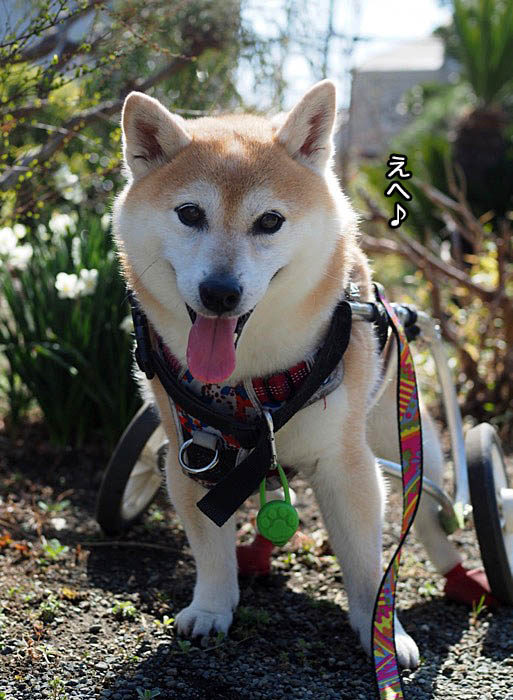 10日ブログ７
