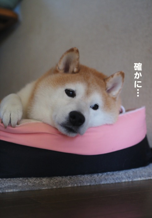 １０日ブログ３