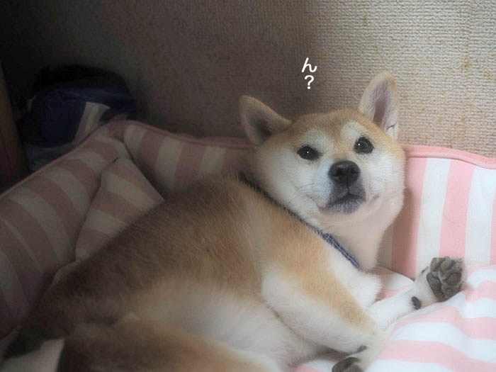 22日午後ブログ５