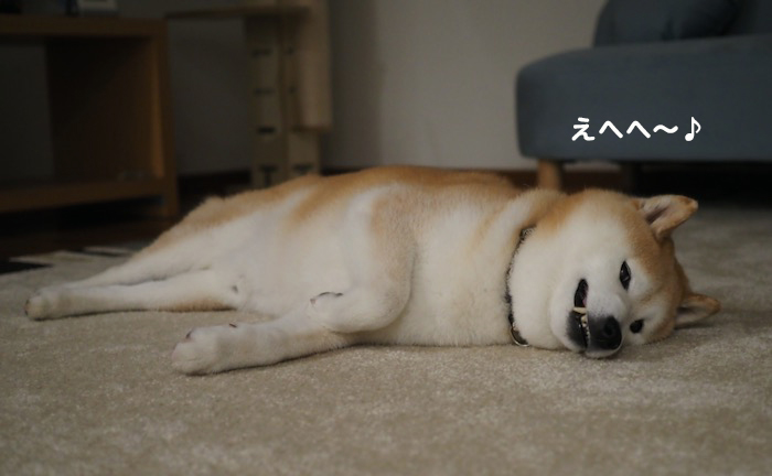 19日夕ブログ２