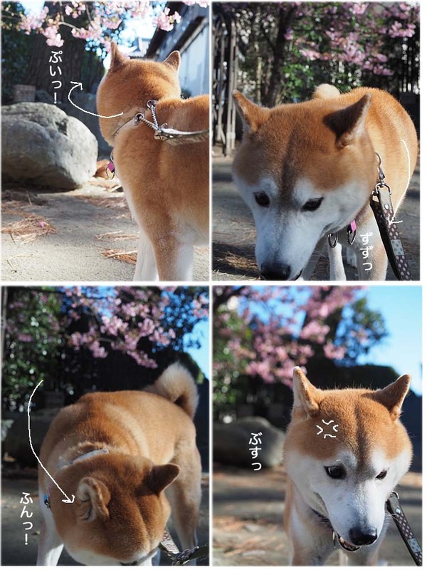 20日ブログ３