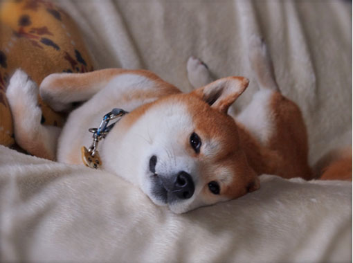 1日ブログ11.jpg