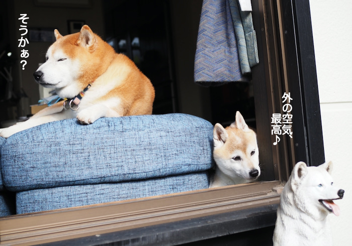 8日ブログ３