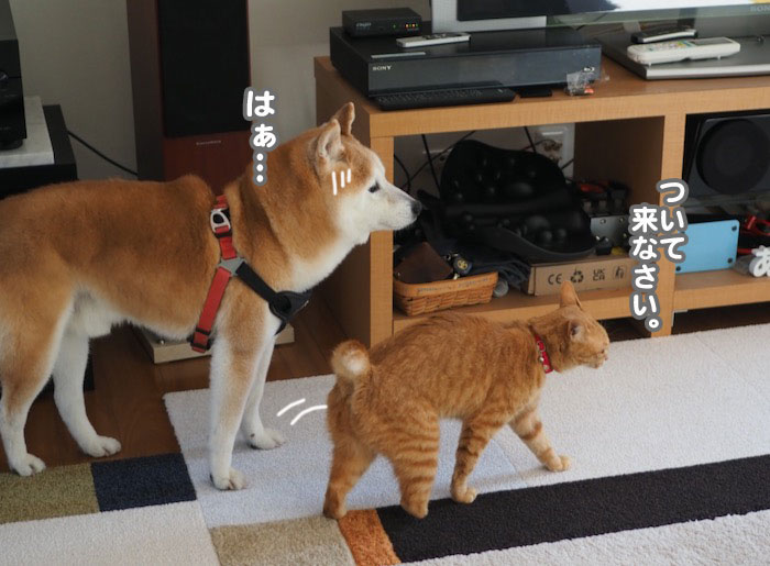 29日ブログ３