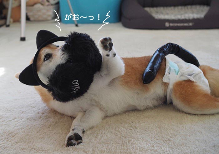 15日夜ブログ８