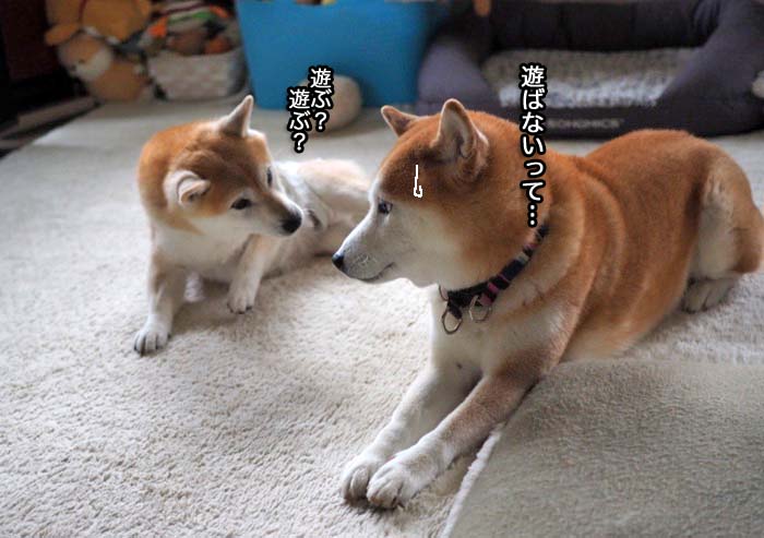 23日ブログ８