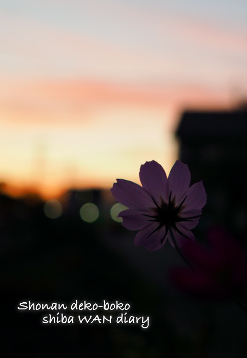 3日夕ブログ１