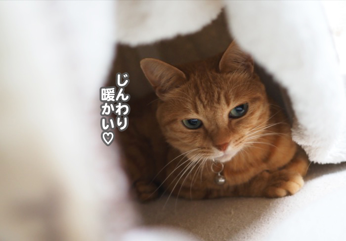 28日夕ブログ８