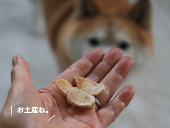 3日ブログ２
