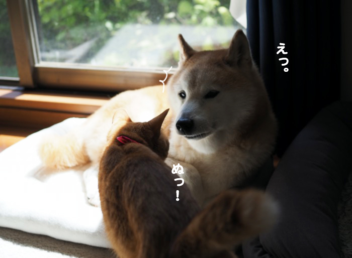 3日ブログ５