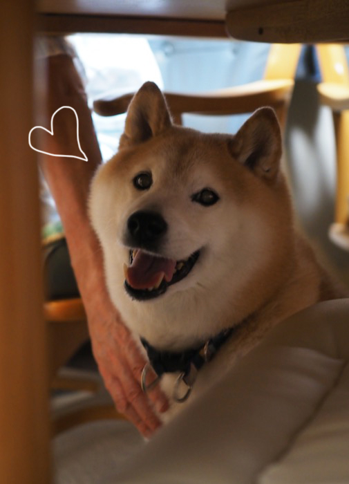 31日ブログ１