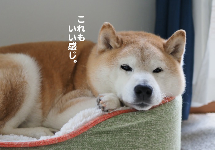 4日夕ブログ６