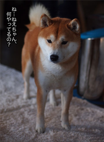 14日ブログ4.jpg