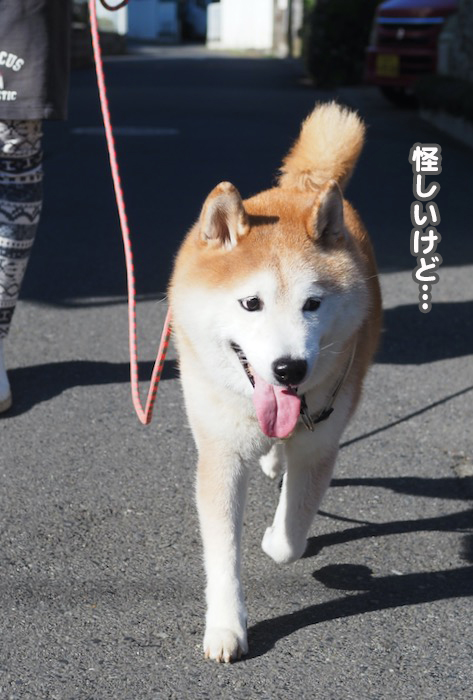 30日夕ブログ４