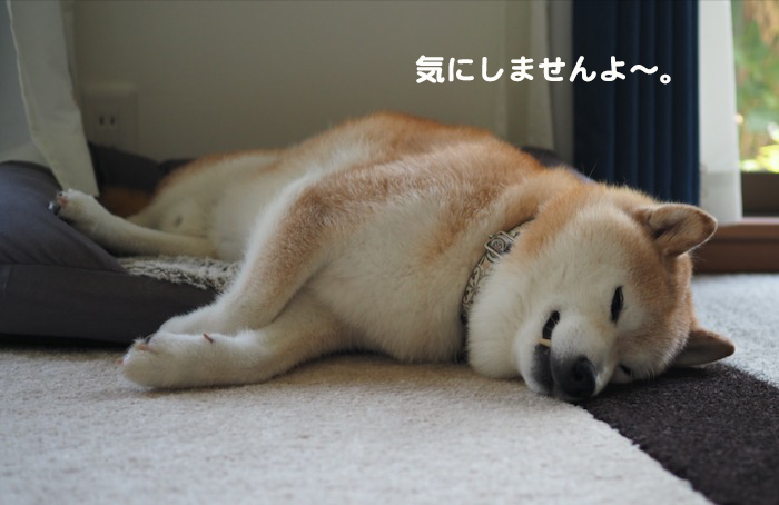 5日夕ブログ８