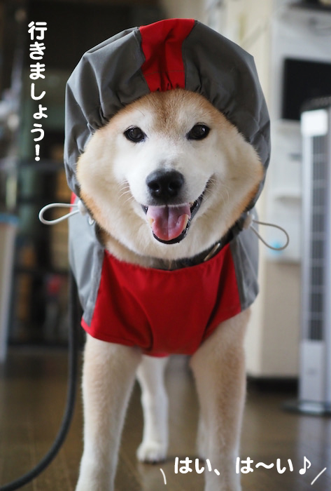 16日夕ブログ６