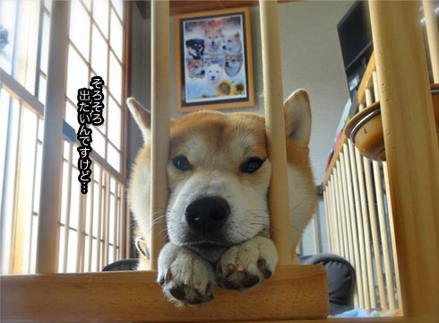 29日ブログ3.jpg