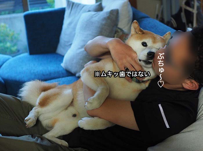19日ブログ１１