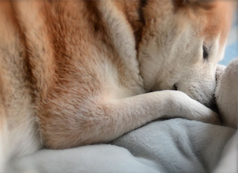 11日ブログ5.jpg