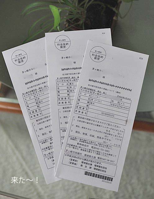10日ブログ2