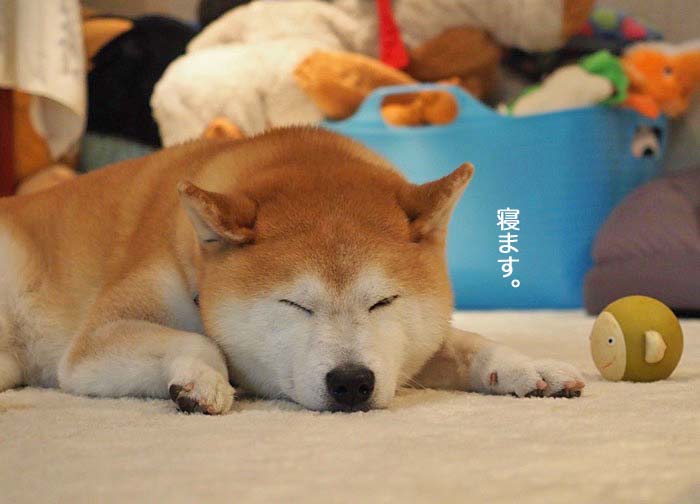 22日ブログ７