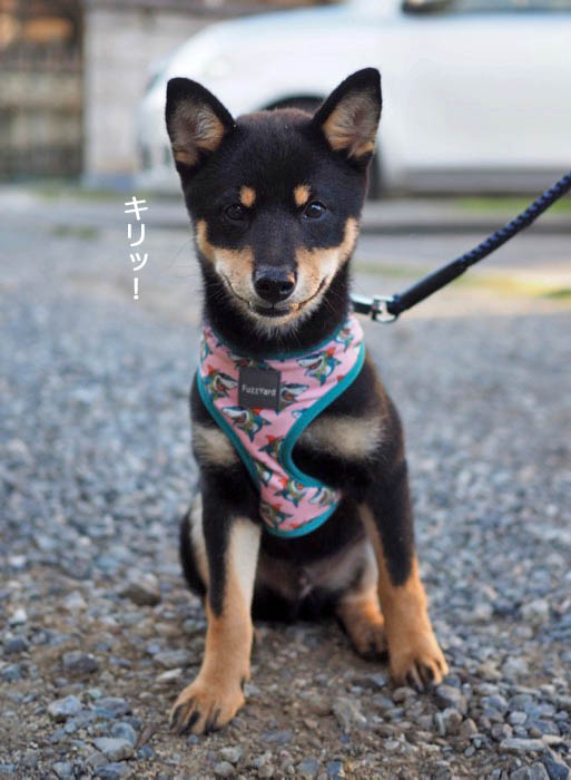 24日夜ブログ４