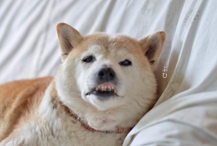 18日ブログ2